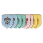 Harry Potter House Pride Plates