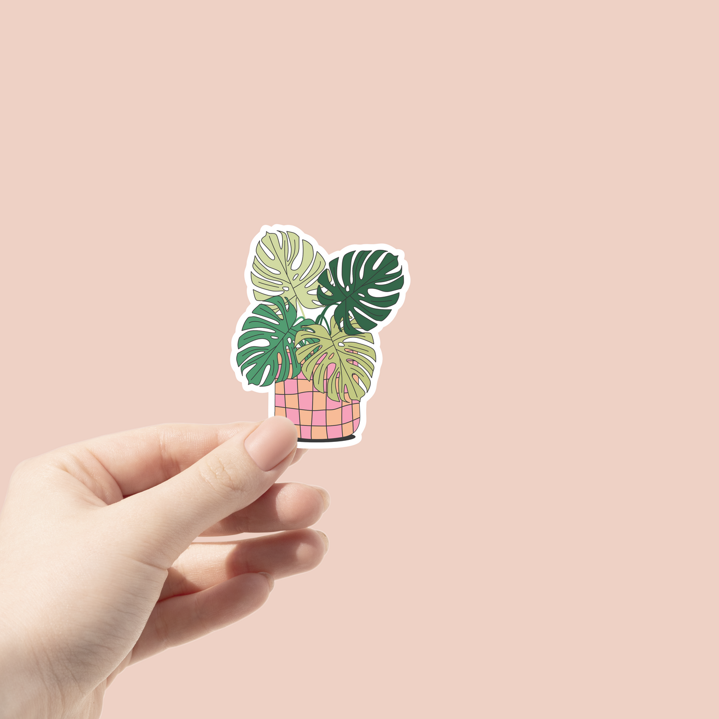 Monstera Plant in a fun pink planter sticker